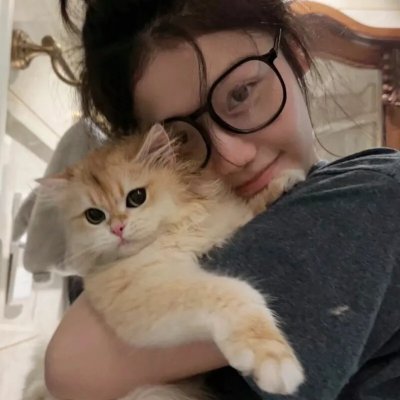 花落莺啼春 封面